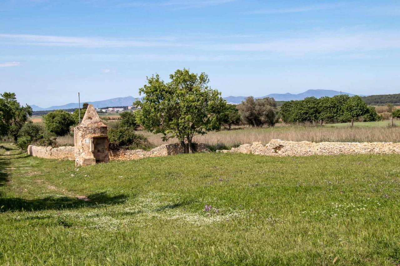 Ocells De Montgri Apartamento Rural En El Emporda Sobrestany المظهر الخارجي الصورة